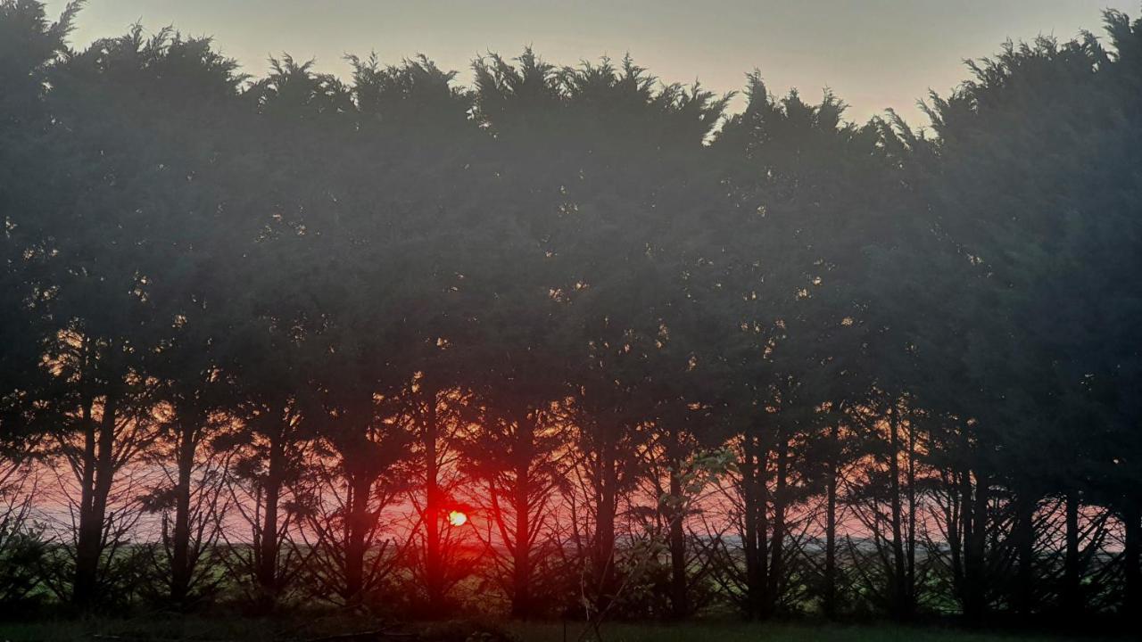 Вілла Bois De Crane Landes-le-Gaulois Екстер'єр фото